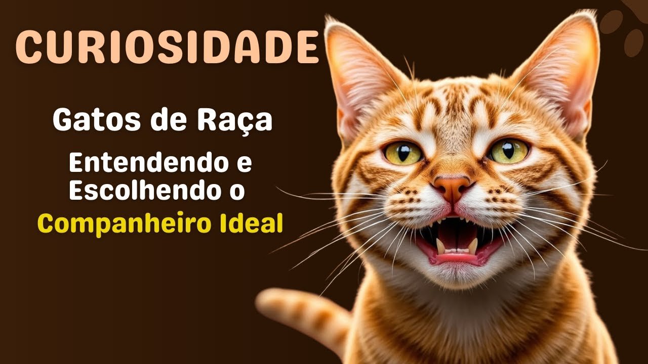 Gatos de Raça: Entendendo e Escolhendo o Companheiro Ideal