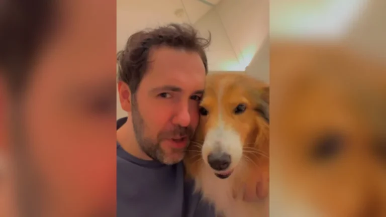 cadela ouve 'tem que dar beijo' e cobre tutor de lambidas, vídeo viral encanta