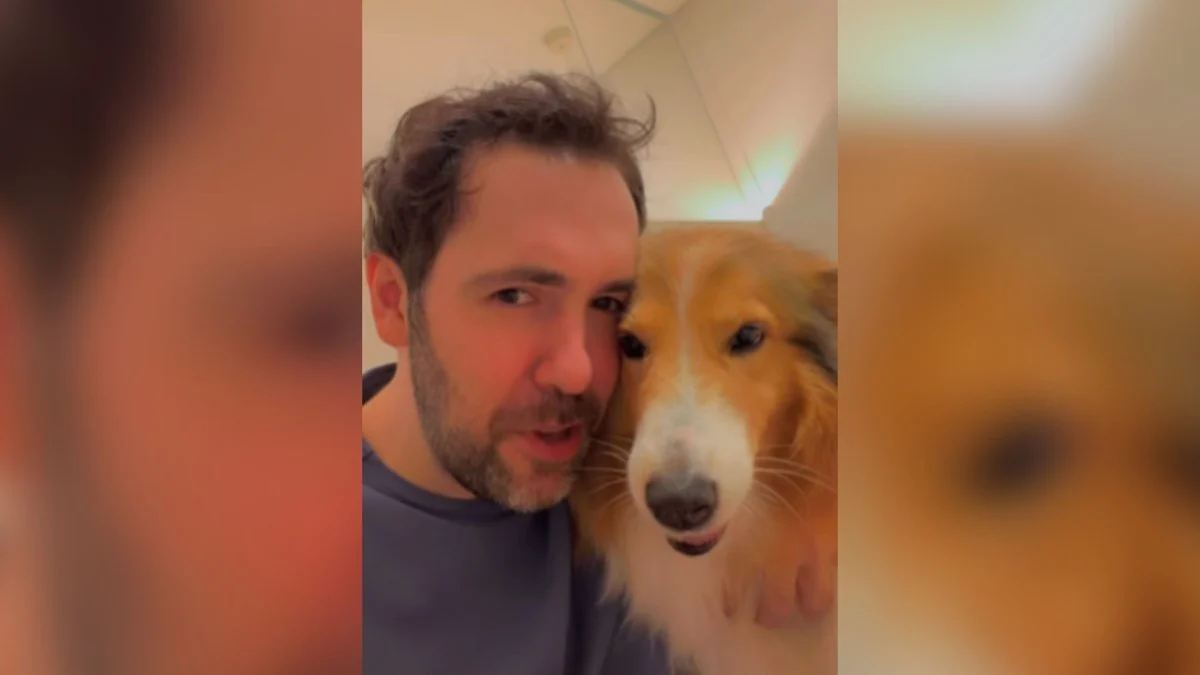 cadela ouve 'tem que dar beijo' e cobre tutor de lambidas, vídeo viral encanta