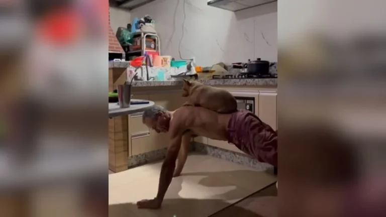 vídeo: tutor faz treino levantando a própria cachorrinha e encanta nas redes
