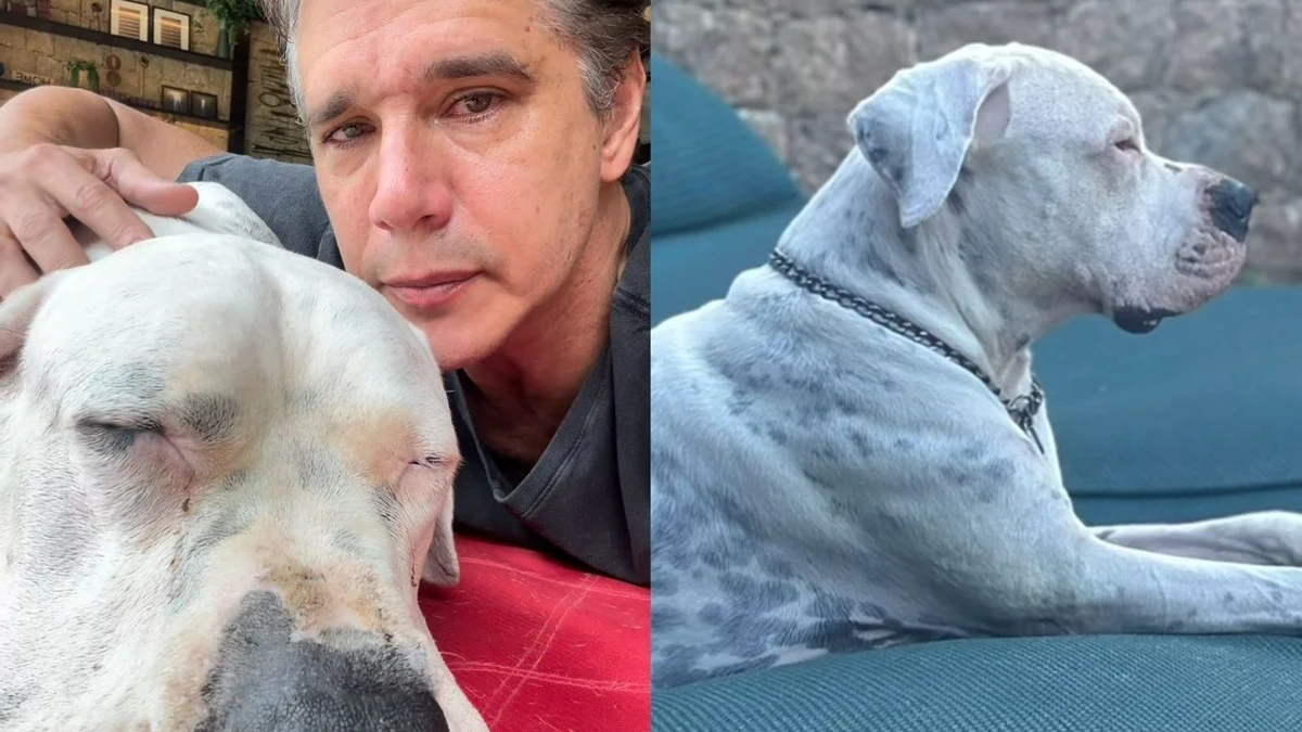 márcio garcia emociona com drama de seu cão com câncer: "uma das decisões mais difíceis"