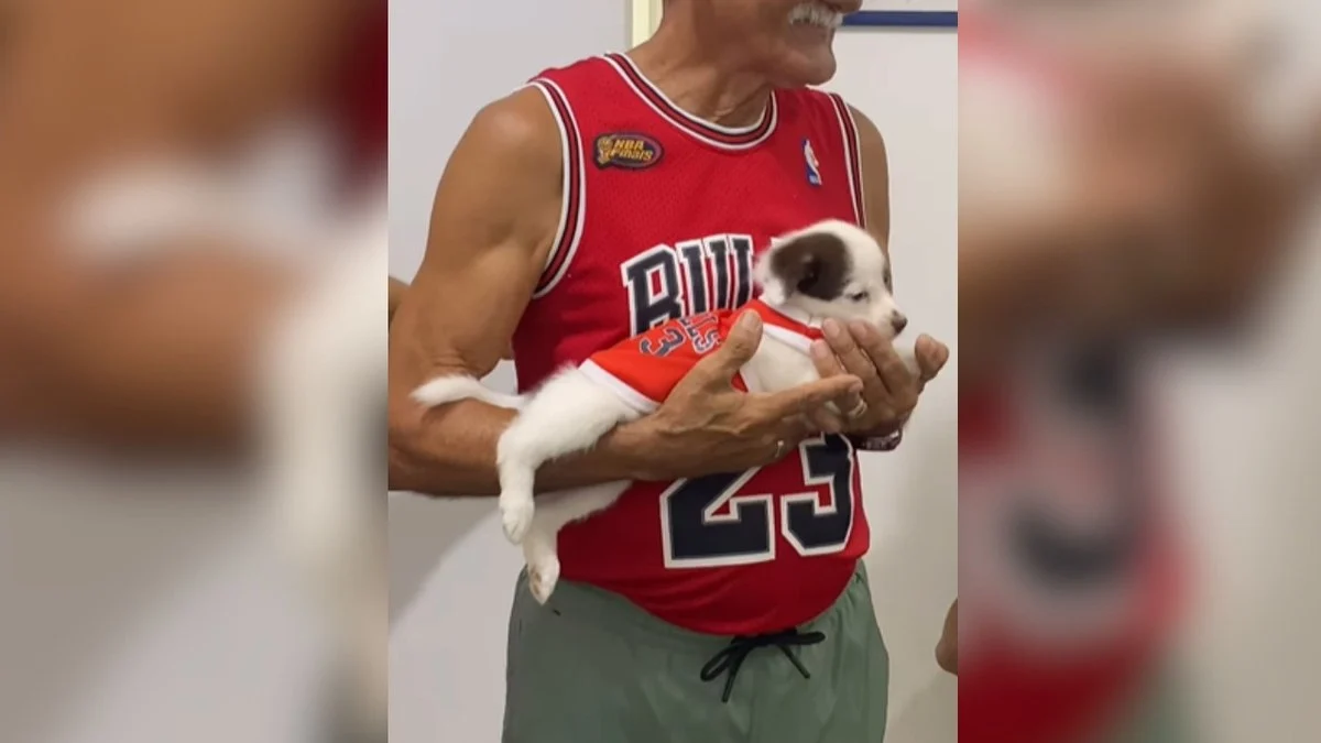 tutor e filhote combinam looks esportivos para visita ao veterinário: viraliza na web