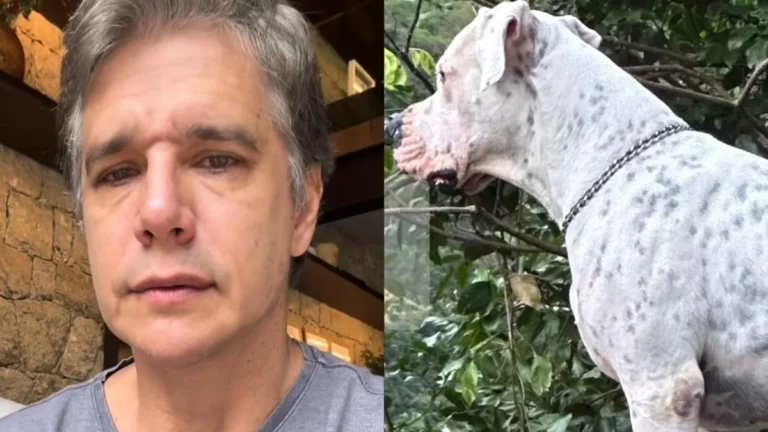 márcio garcia: a emocionante despedida de dogo, seu cãozinho que lutava contra o câncer