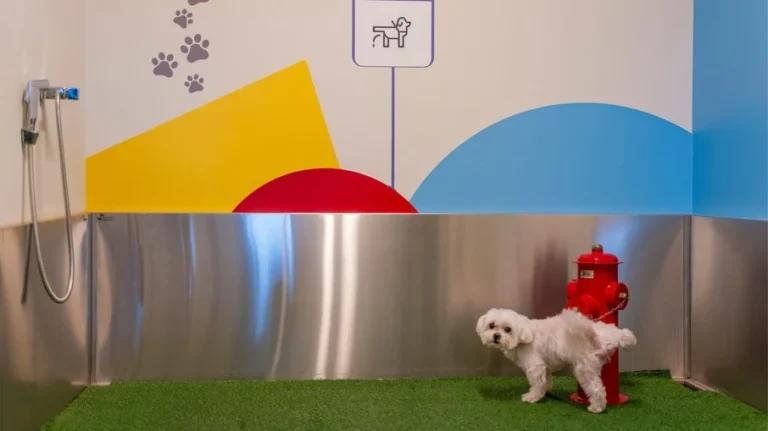 aeroportos brasileiros ganham banheiros pet para viagens mais tranquilas