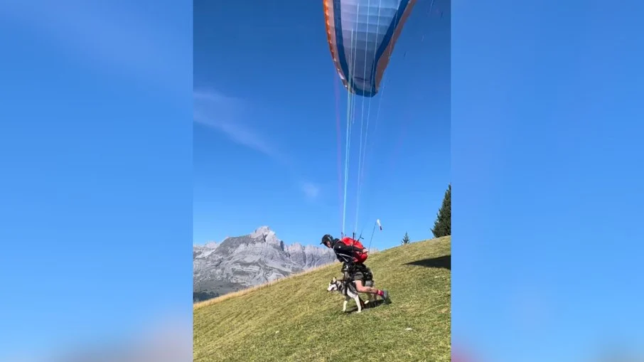 husky emociona a web: cão filma voo de parapente sobrevoando montanhas!