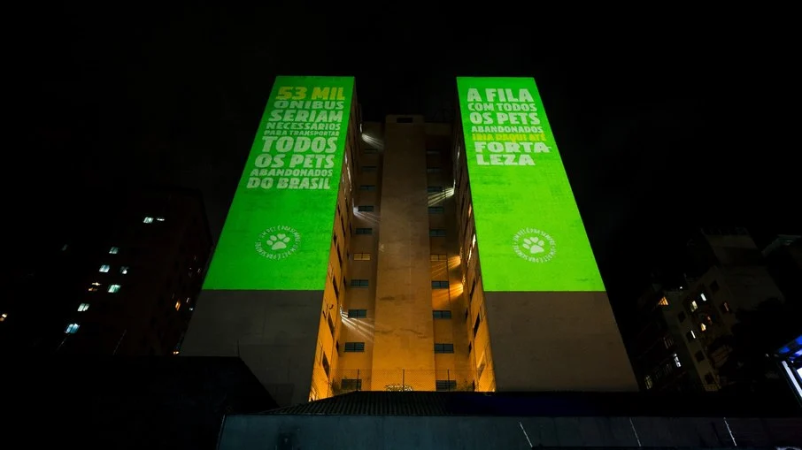 abandono de pets: especialista alerta para falta de planejamento e impacto devastador