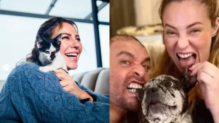 paolla oliveira e diogo nogueira: o destino de 18 pets após o fim do namoro vira mistério