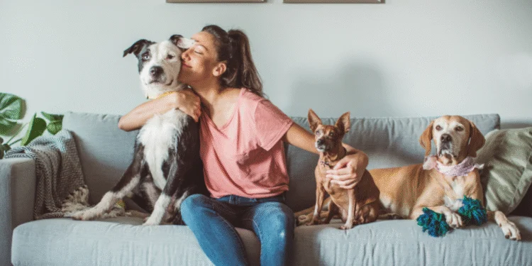 lei inédita no canadá: donos de imóveis agora não podem mais recusar inquilinos apenas por terem pets