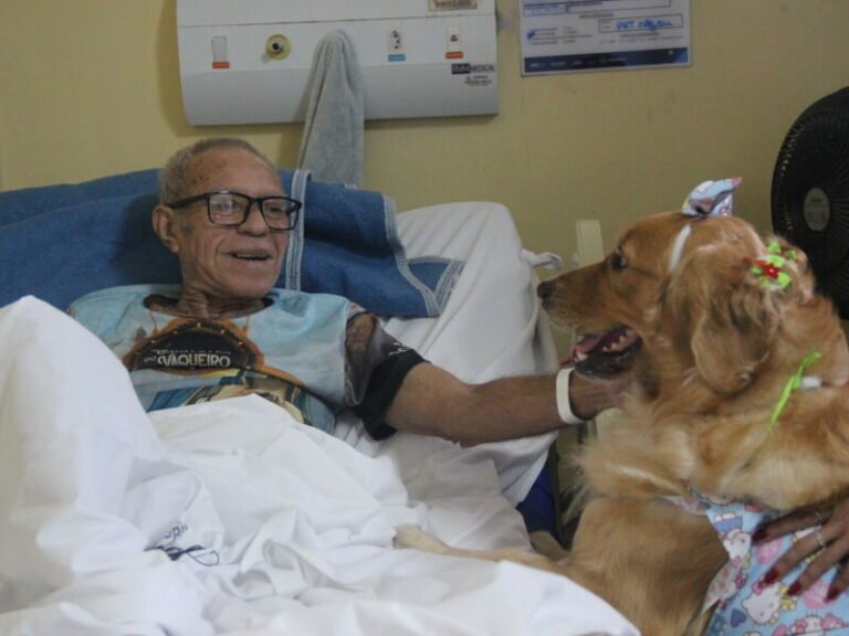 Cães terapeutas Golden Retriever interagindo com pacientes e profissionais de saúde em um hospital.