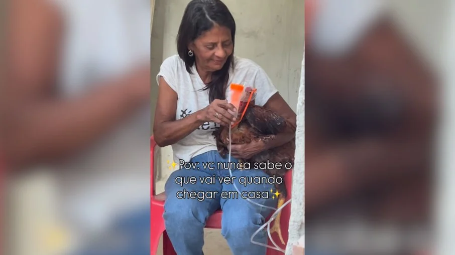 mãe inala galo doente e vídeo viraliza: "melhorando 2x ao dia"