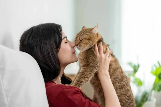 gato mais sociável: 7 dicas essenciais para seu felino ganhar confiança e amizades verdadeiras