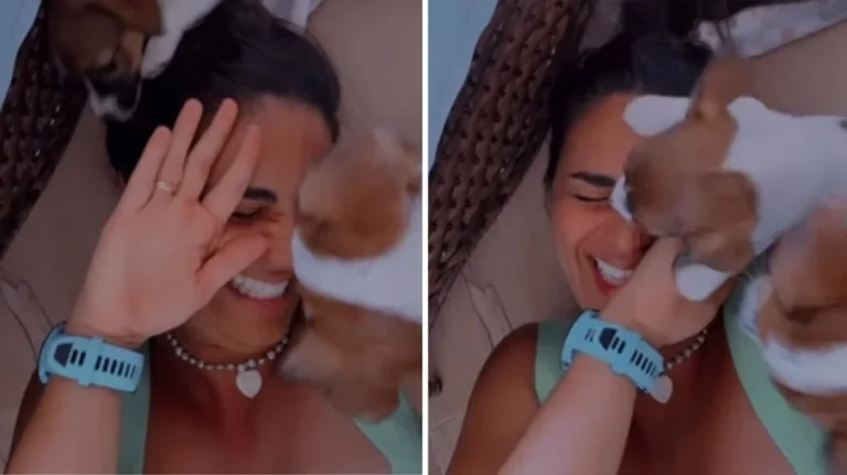 cachorros "atacam" tutora com excesso de carinho em vídeo viral; internautas reagem