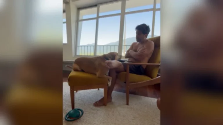 tutor tem dr com cachorro e viraliza: "você tem me sufocado!"