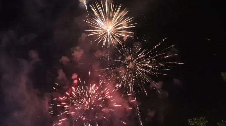 fogos de artifício: o perigo real para cães e gatos que vai além do susto