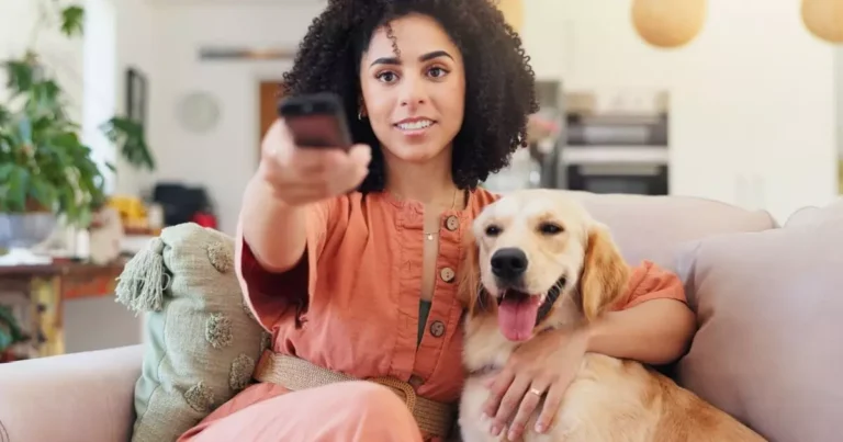 Cachorros com bandanas inspiradas em personagens de novelas brasileiras